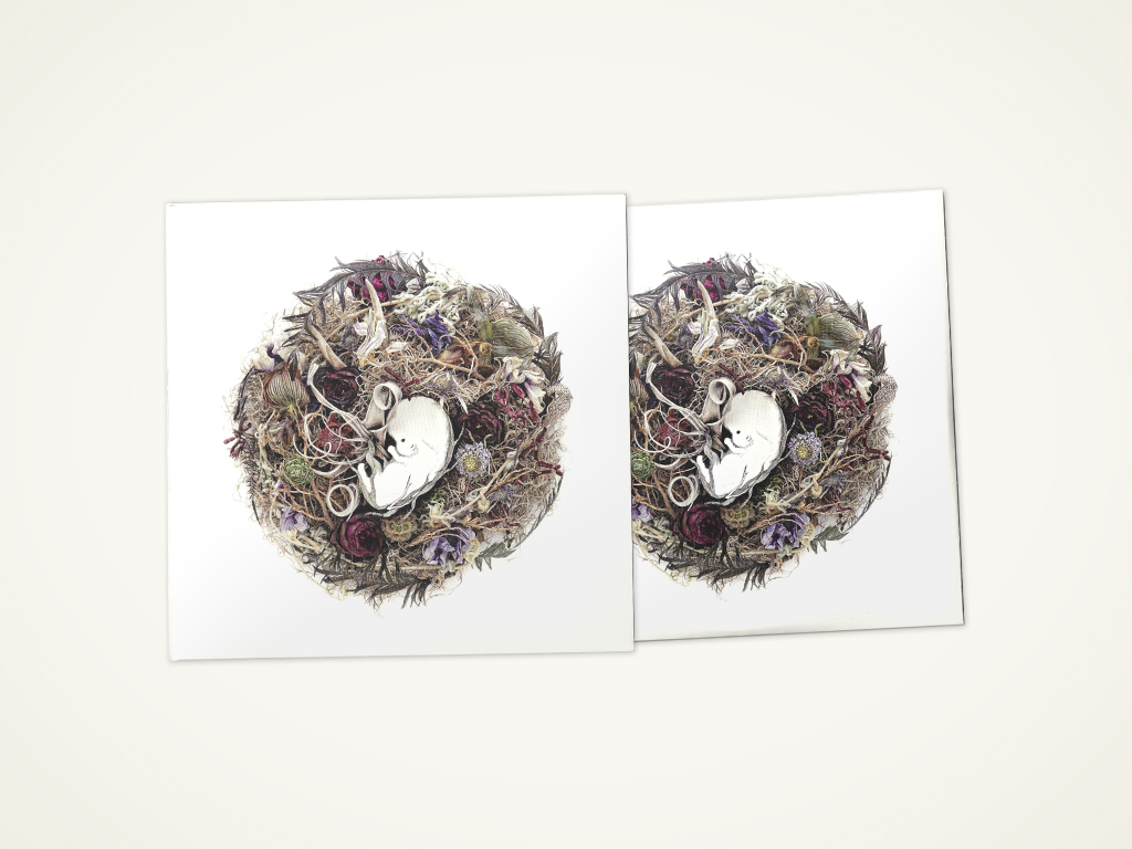 ikitane_003